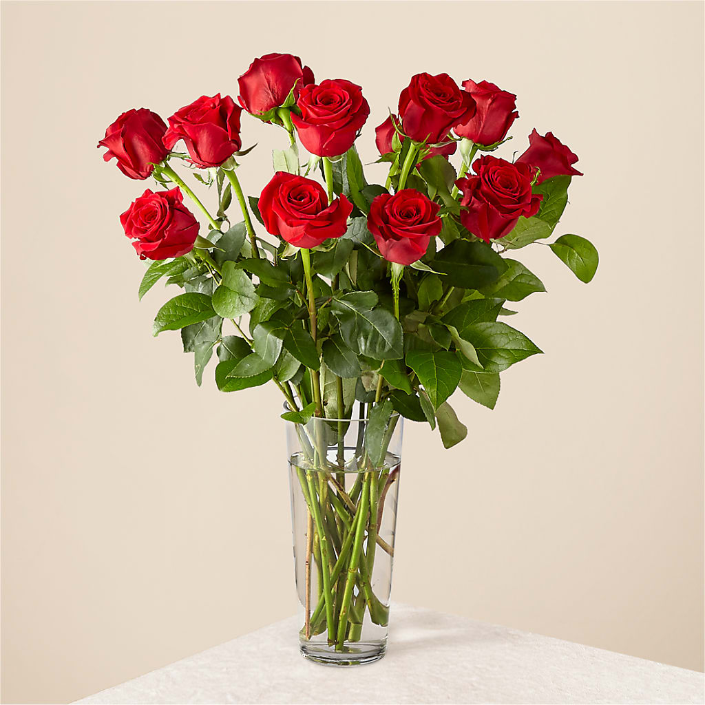Long Stem Red Rose Bouquet – Flowerorder.com, Tontitown AR