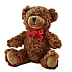Adorable Plush Bear – Flowerorder.com, Tontitown AR