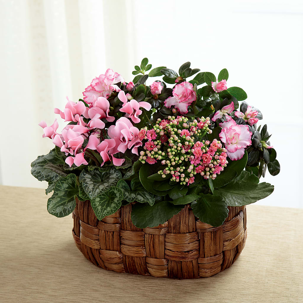 Pink Assortment – Flowerorder.com, Tontitown AR