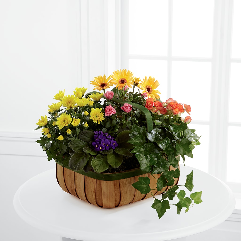 Gentle Blossoms Basket – Flowerorder.com, Tontitown AR