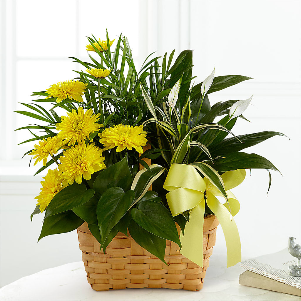 Loving Light Dishgarden – Flowerorder.com, Tontitown AR