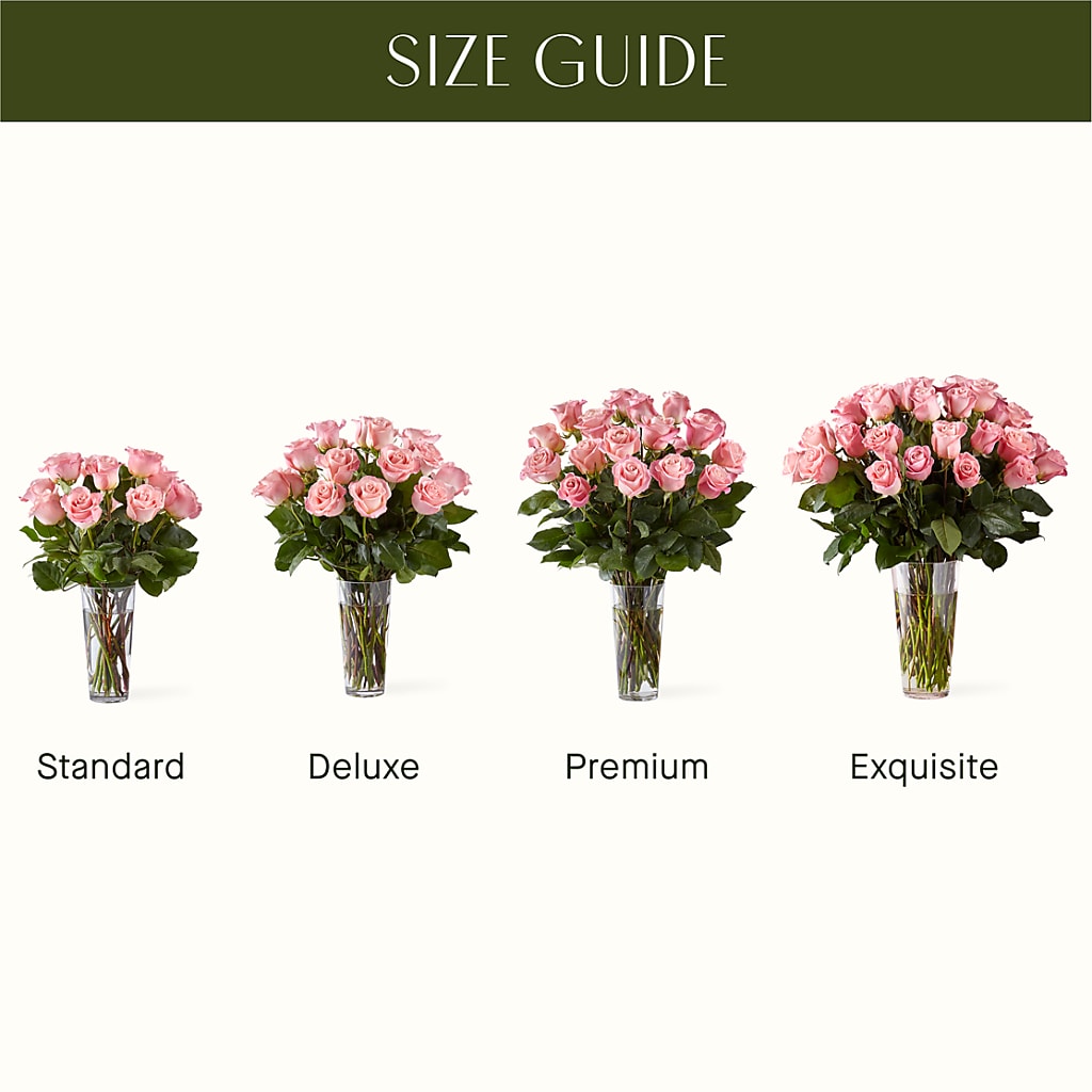 Long Stem Pink Rose Bouquet – Flowerorder.com, Tontitown AR