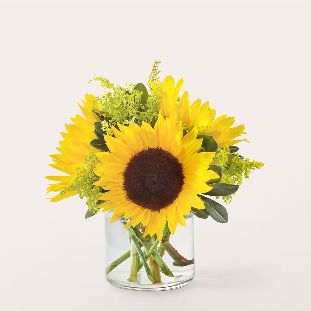 Beaming Sunflower Bouquet – Flowerorder.com, Tontitown AR