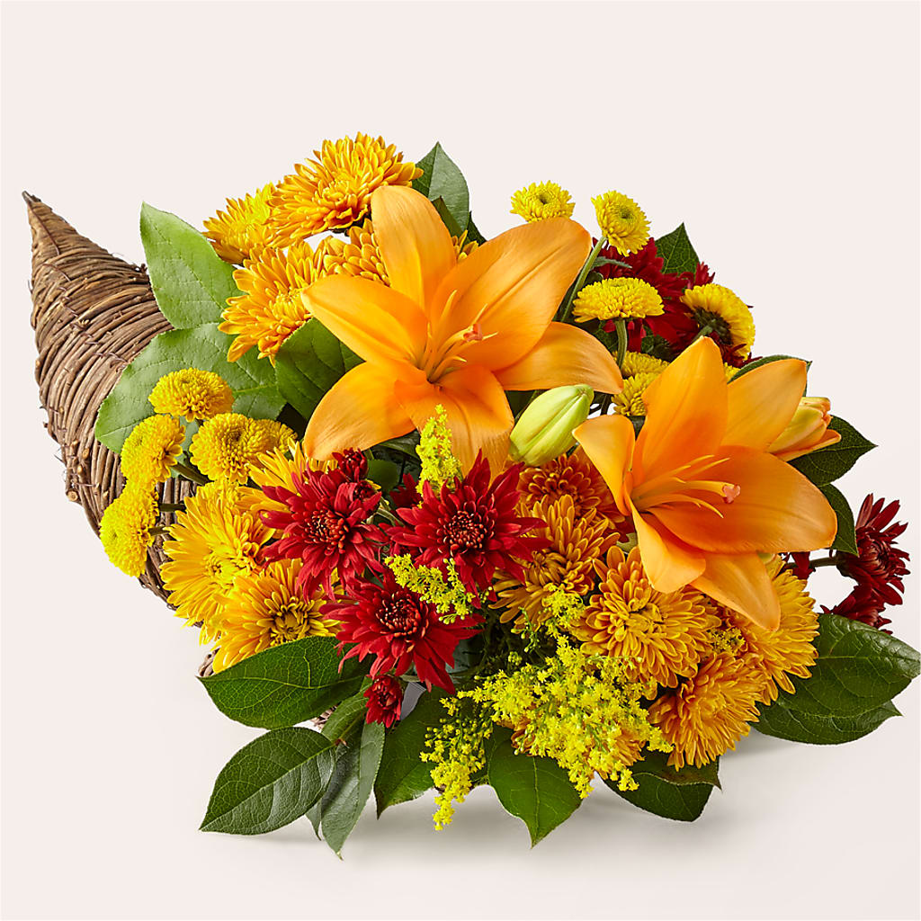 Feast of Color Cornucopia – Flowerorder.com, Tontitown AR