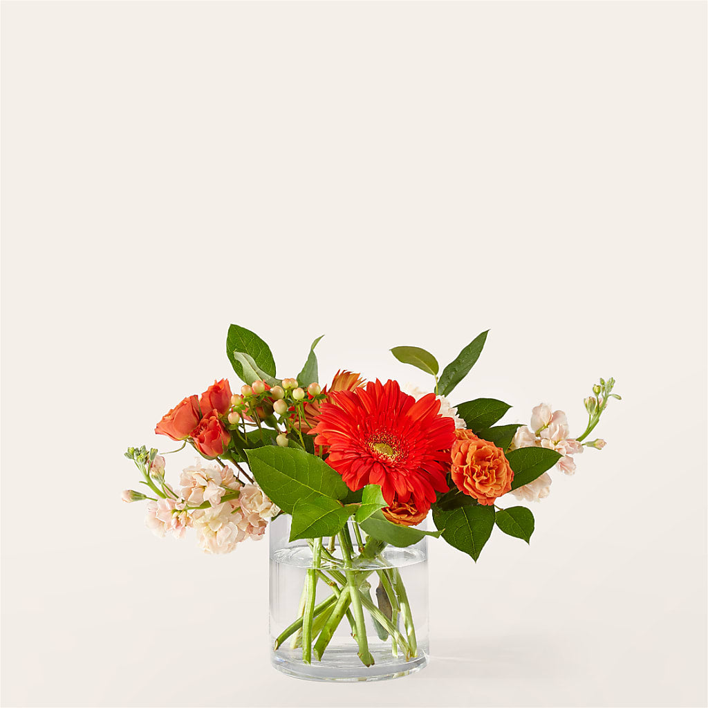 Paloma Please Bouquet – Flowerorder.com, Tontitown AR