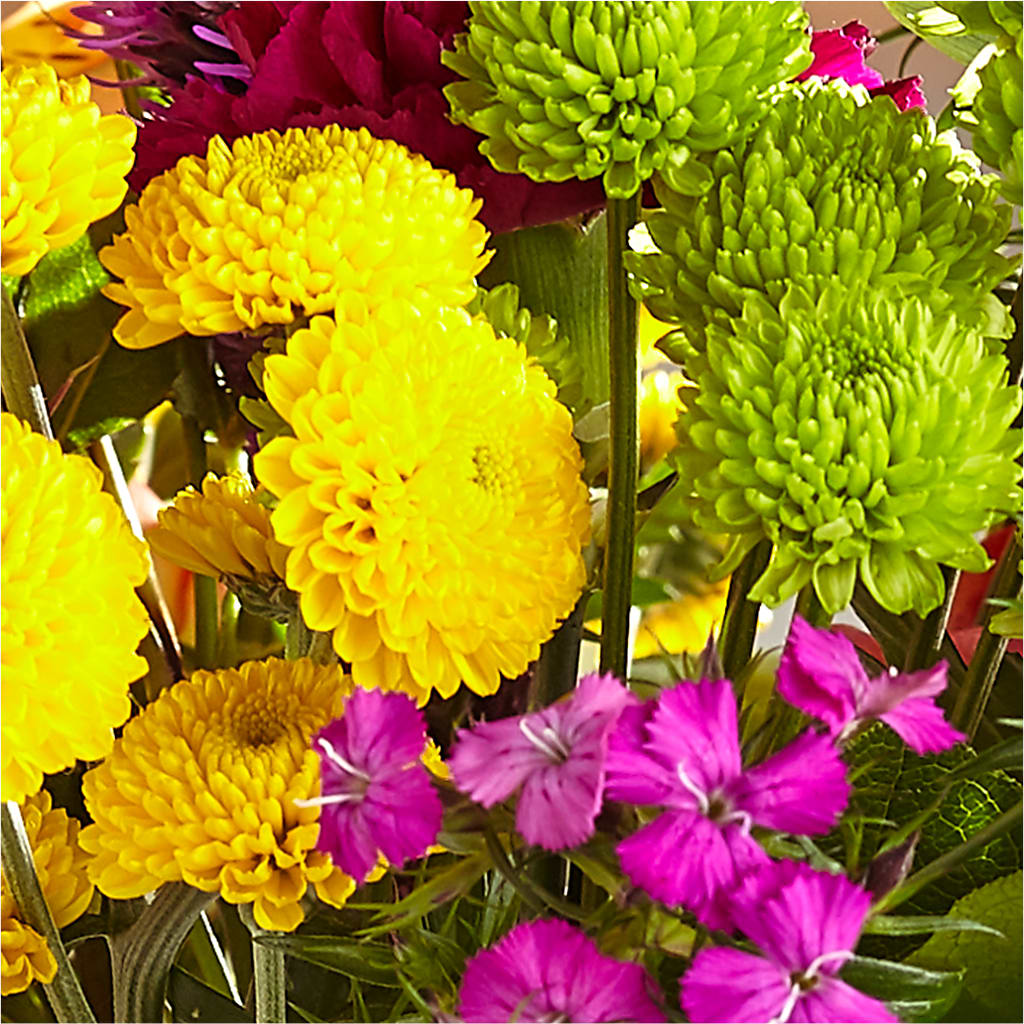 Bold & Bright – A Florist Original –  Flowerorder.com, Tontitown AR