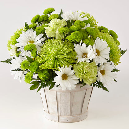 Lucky Charm Basket (Standard) –  Flowerorder.com, Tontitown AR