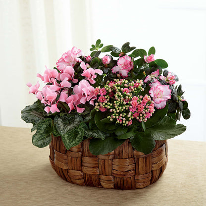 Pink Assortment –  Flowerorder.com, Tontitown AR