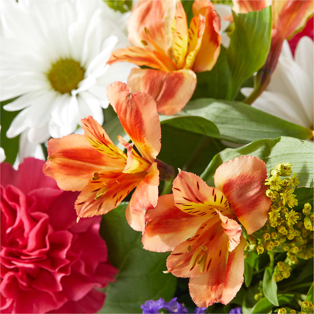 Oopsie Daisy Box Bouquet –  Flowerorder.com, Tontitown AR