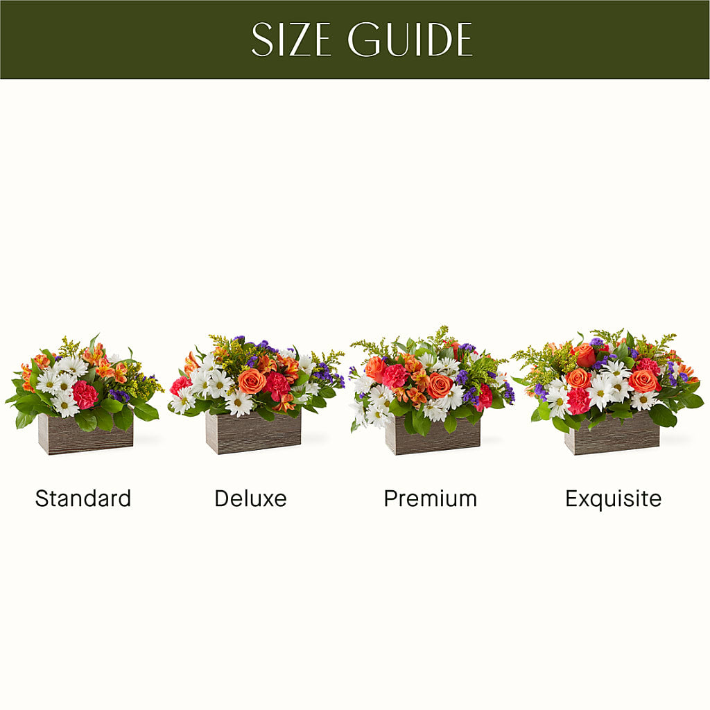 Oopsie Daisy Box Bouquet –  Flowerorder.com, Tontitown AR