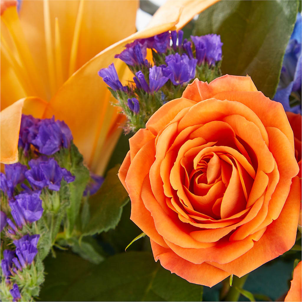Radiant Citrus Box Bouquet –  Flowerorder.com, Tontitown AR