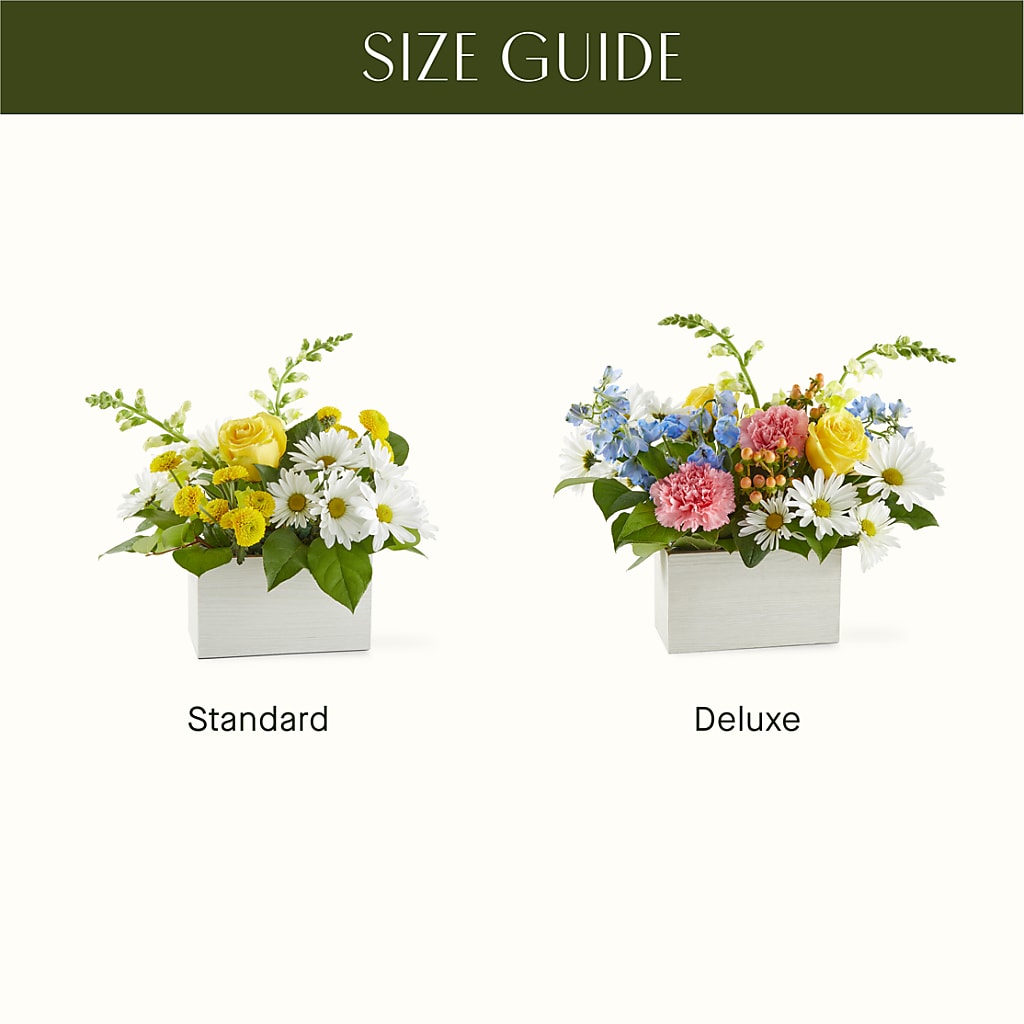 Sun Salutation Box Bouquet –  Flowerorder.com, Tontitown AR