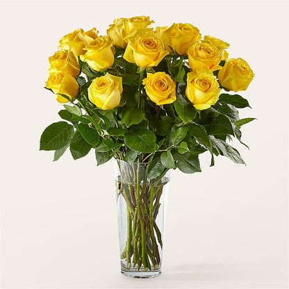 Long Stem Yellow Rose Bouquet –  Flowerorder.com, Tontitown AR