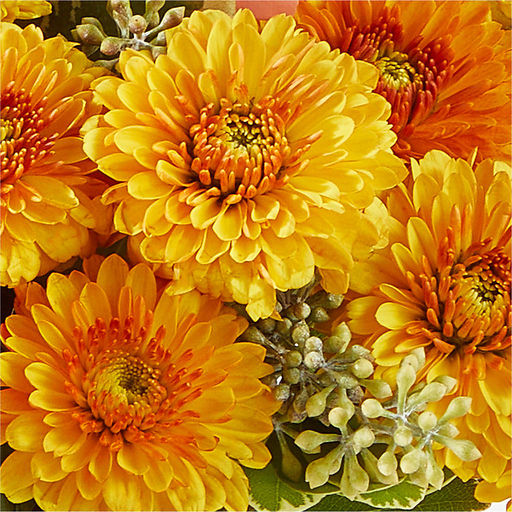 Peachy Pumpkin –  Flowerorder.com, Tontitown AR