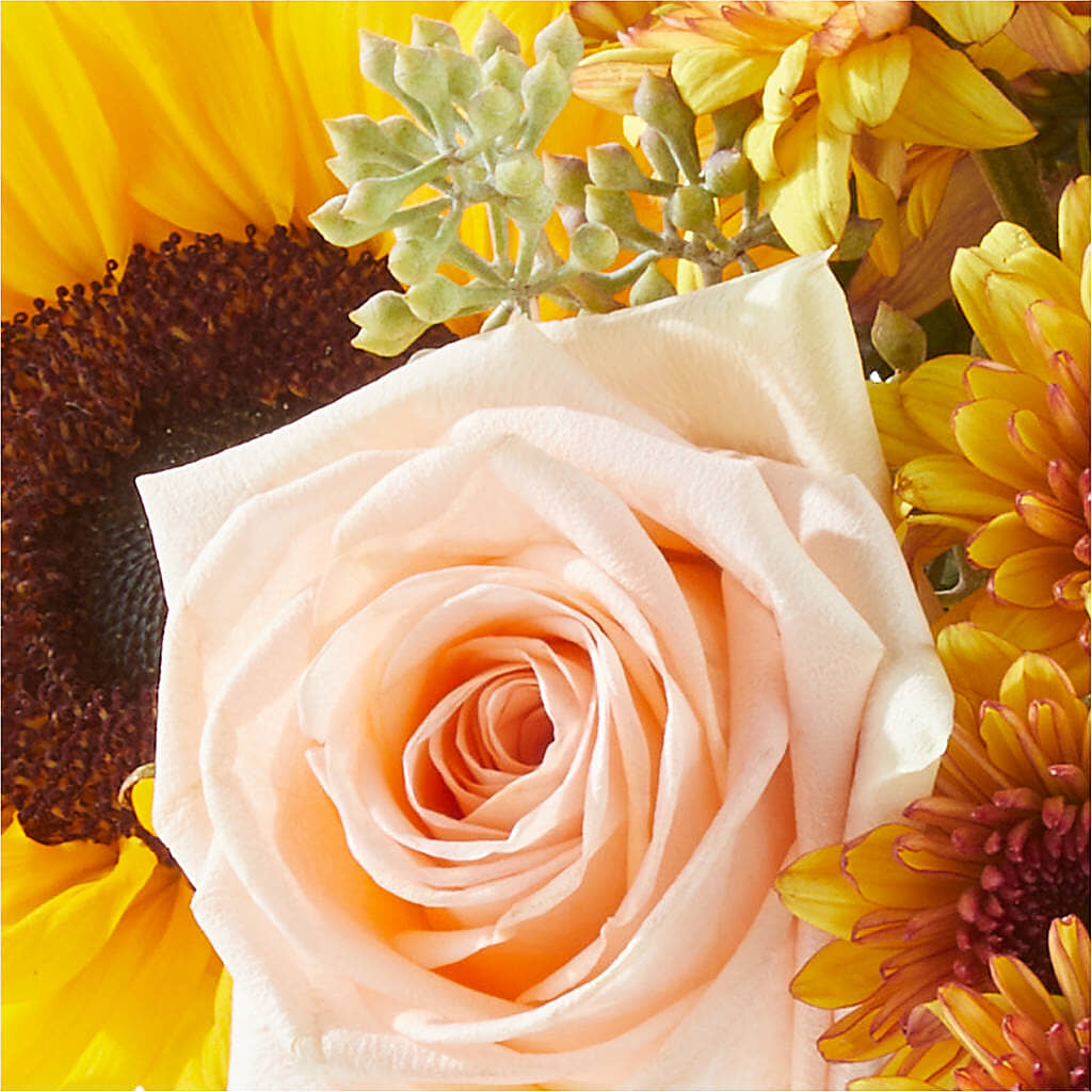 Pumpkin to Talk About Bouquet –  Flowerorder.com, Tontitown AR