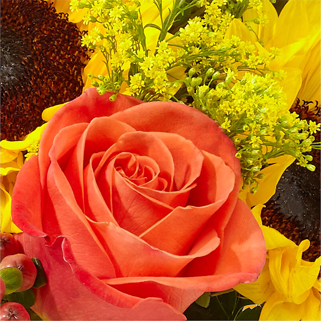 Pick of the Patch Pumpkin Bouquet –  Flowerorder.com, Tontitown AR