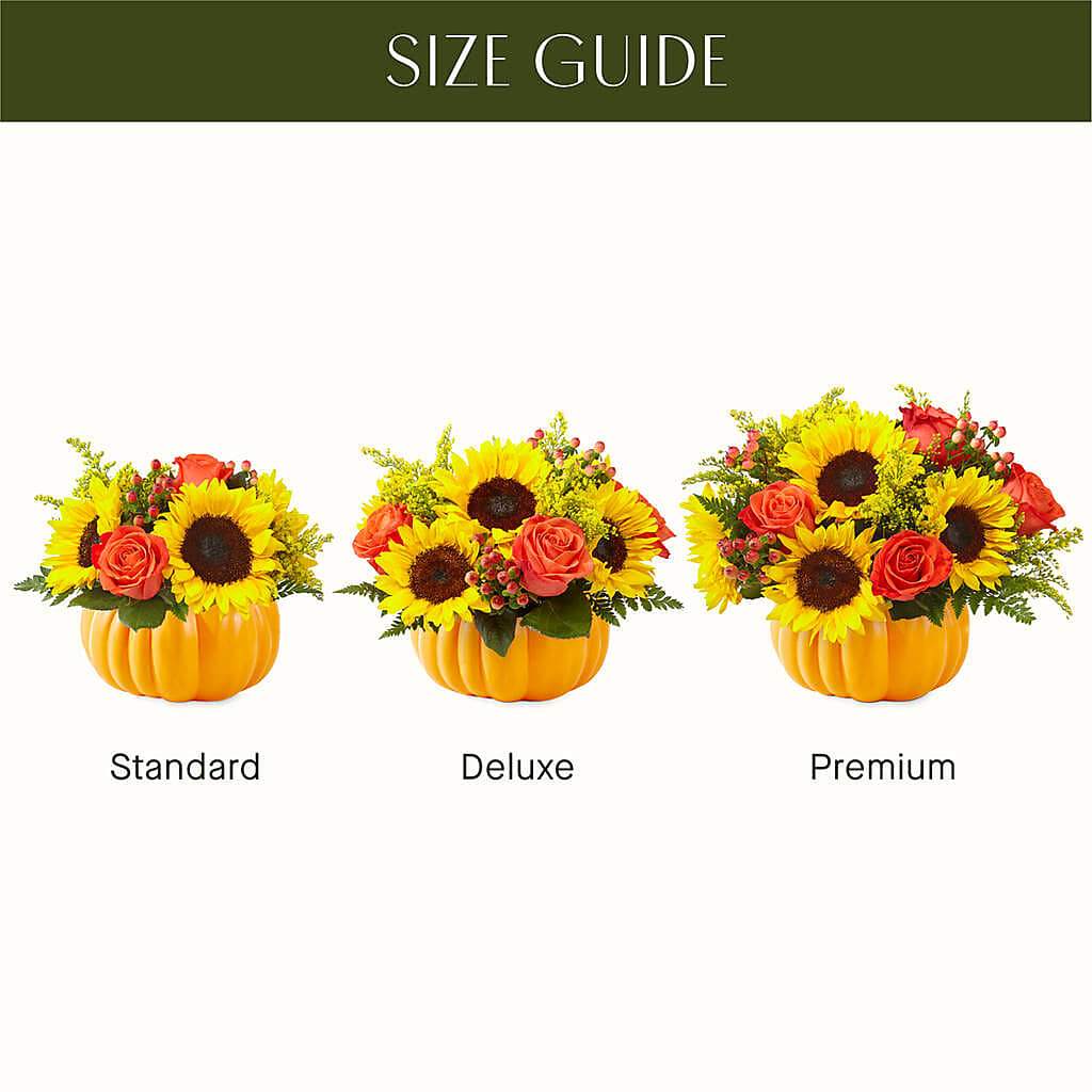 Pick of the Patch Pumpkin Bouquet –  Flowerorder.com, Tontitown AR