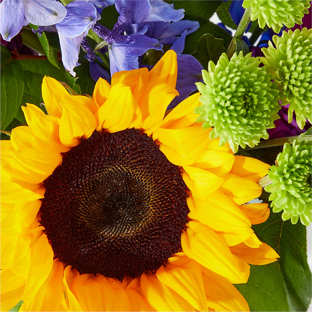 Catching Rays Bouquet –  Flowerorder.com, Tontitown AR