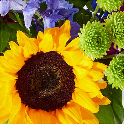 Catching Rays Bouquet –  Flowerorder.com, Tontitown AR