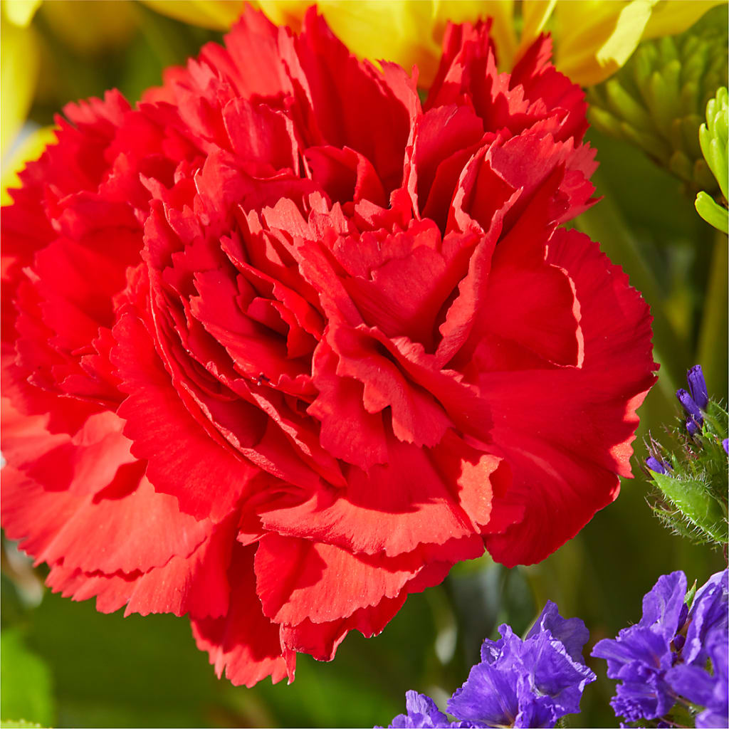 Brighter Days Bouquet –  Flowerorder.com, Tontitown AR