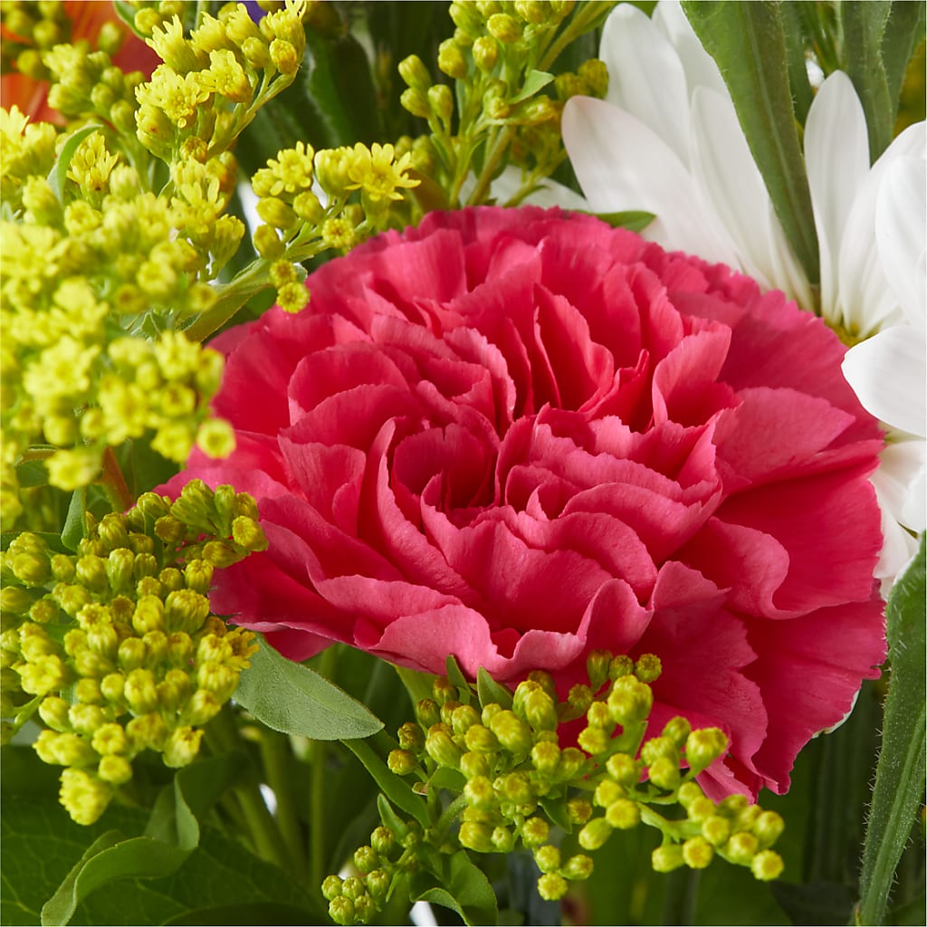 Oopsie Daisy Bouquet –  Flowerorder.com, Tontitown AR