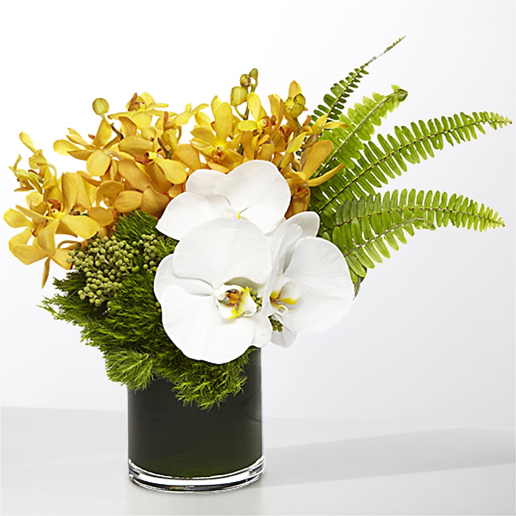 The Tropics –  Flowerorder.com, Tontitown AR