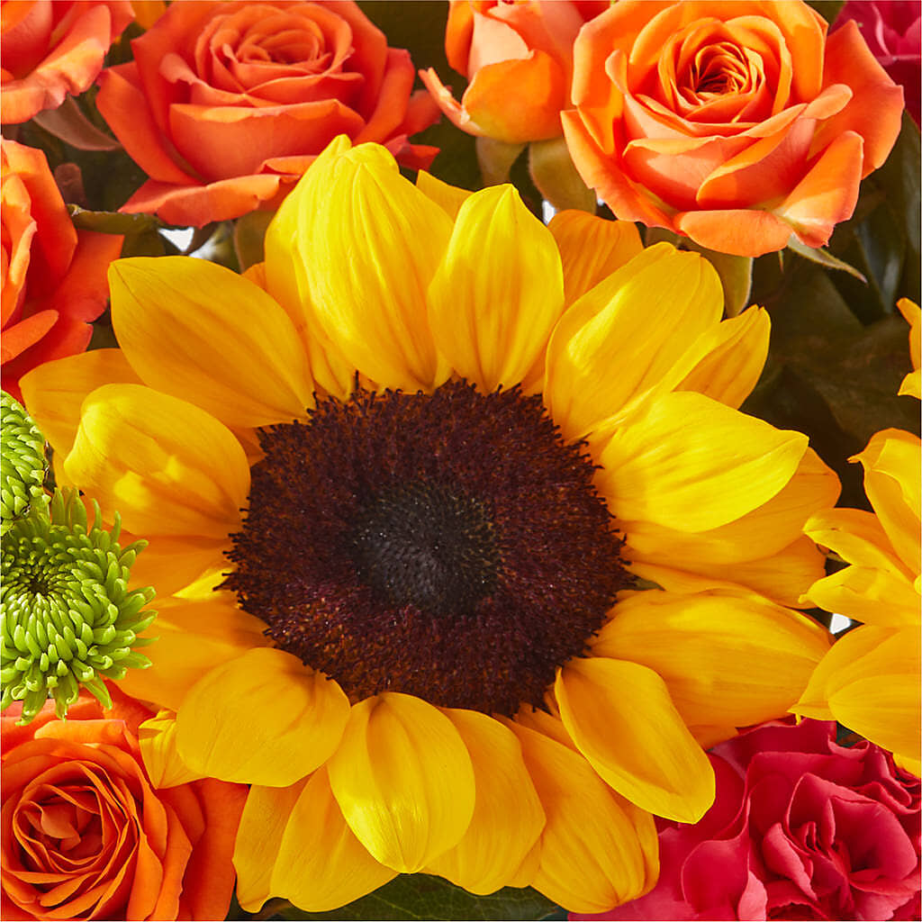 Sun-drenched Blooms Box Bouquet –  Flowerorder.com, Tontitown AR