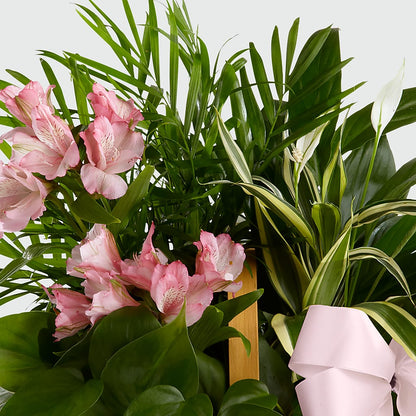 Living Spirit Dishgarden –  Flowerorder.com, Tontitown AR