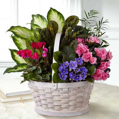 Peaceful Garden Planter –  Flowerorder.com, Tontitown AR