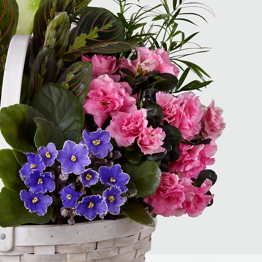 Peaceful Garden Planter –  Flowerorder.com, Tontitown AR