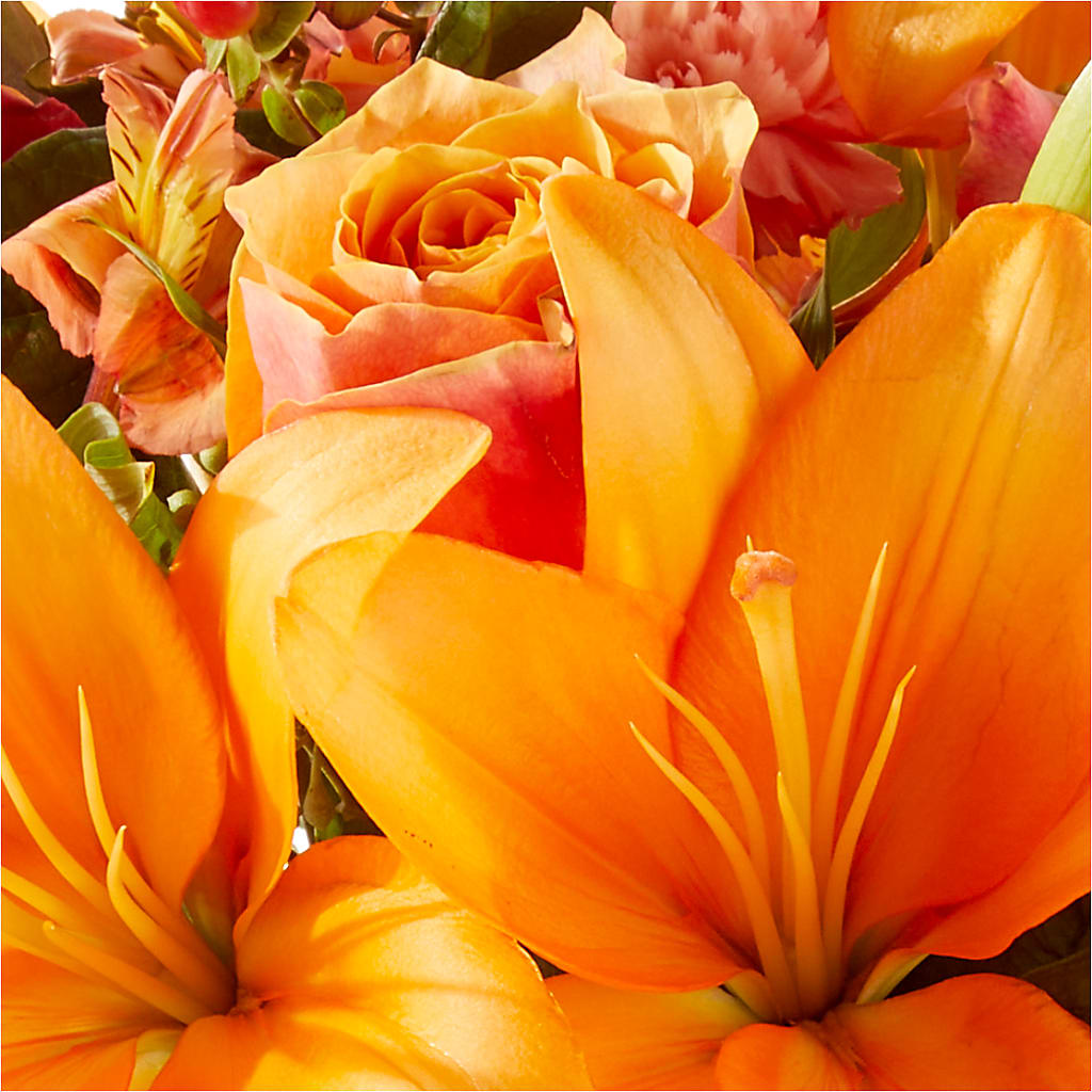 Afternoon Light Bouquet –  Flowerorder.com, Tontitown AR