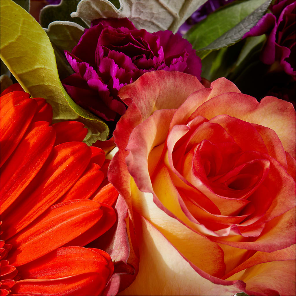 Sangria Bouquet –  Flowerorder.com, Tontitown AR