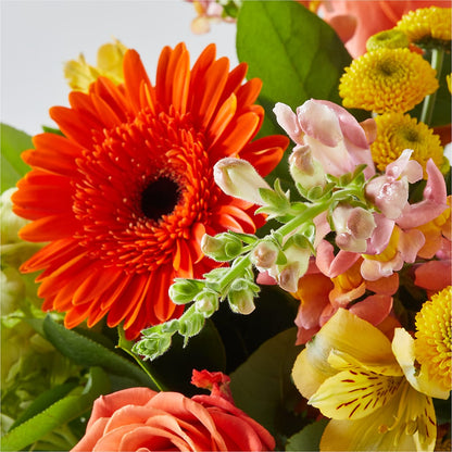 Autumn Sunshine Bouquet –  Flowerorder.com, Tontitown AR