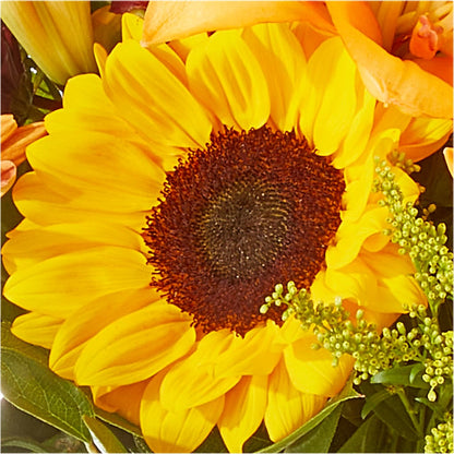 Seasons Change Bouquet –  Flowerorder.com, Tontitown AR