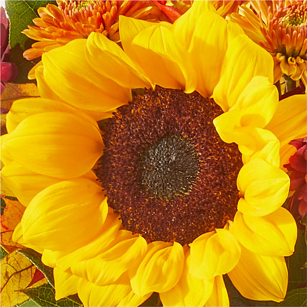 Sunny Side Bouquet –  Flowerorder.com, Tontitown AR