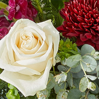 Cranberry Fizz Bouquet –  Flowerorder.com, Tontitown AR