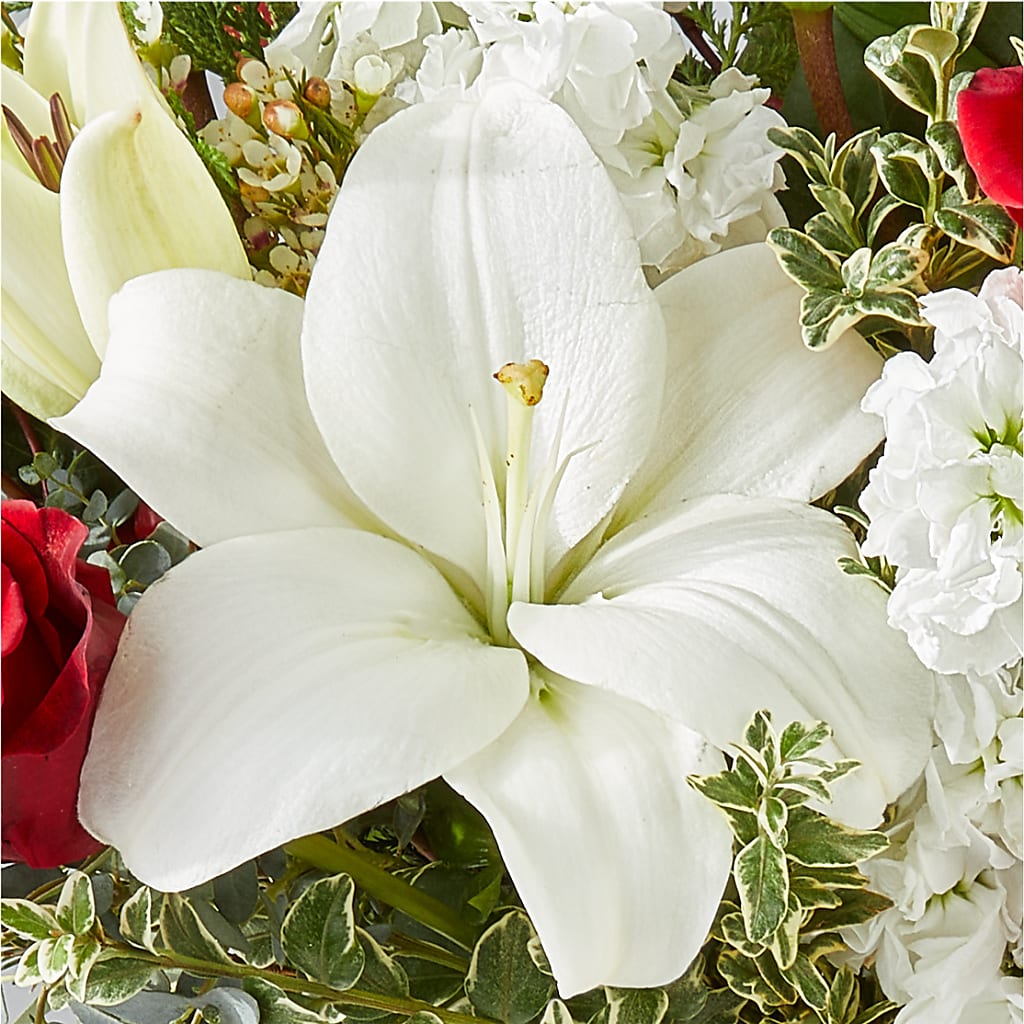 Twinkle Lights Bouquet –  Flowerorder.com, Tontitown AR