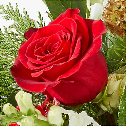 Deck the Halls Bouquet –  Flowerorder.com, Tontitown AR