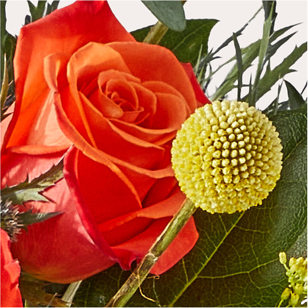 Disco Bouquet –  Flowerorder.com, Tontitown AR