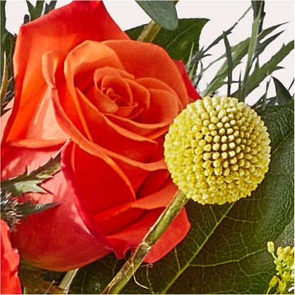 Disco Bouquet –  Flowerorder.com, Tontitown AR