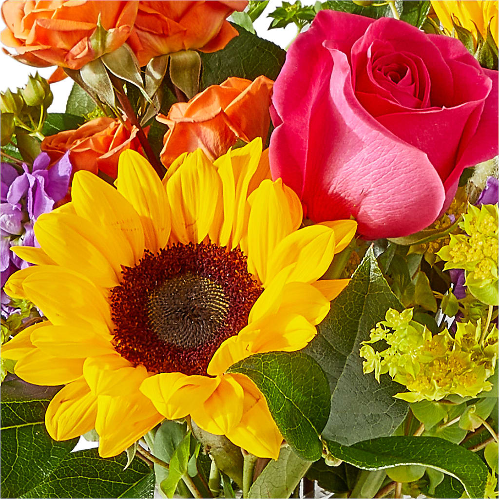 Vibrant Greetings Bouquet –  Flowerorder.com, Tontitown AR