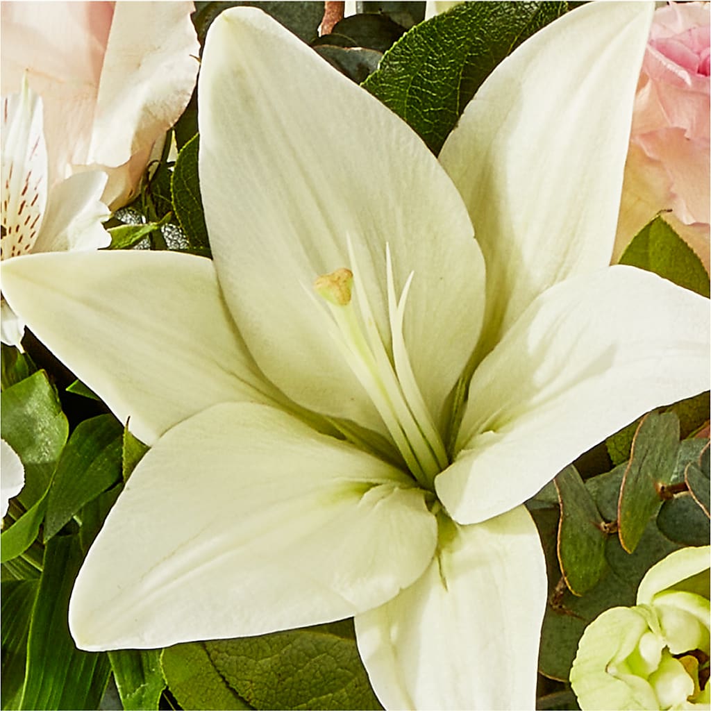 Ballet Slippers Bouquet –  Flowerorder.com, Tontitown AR