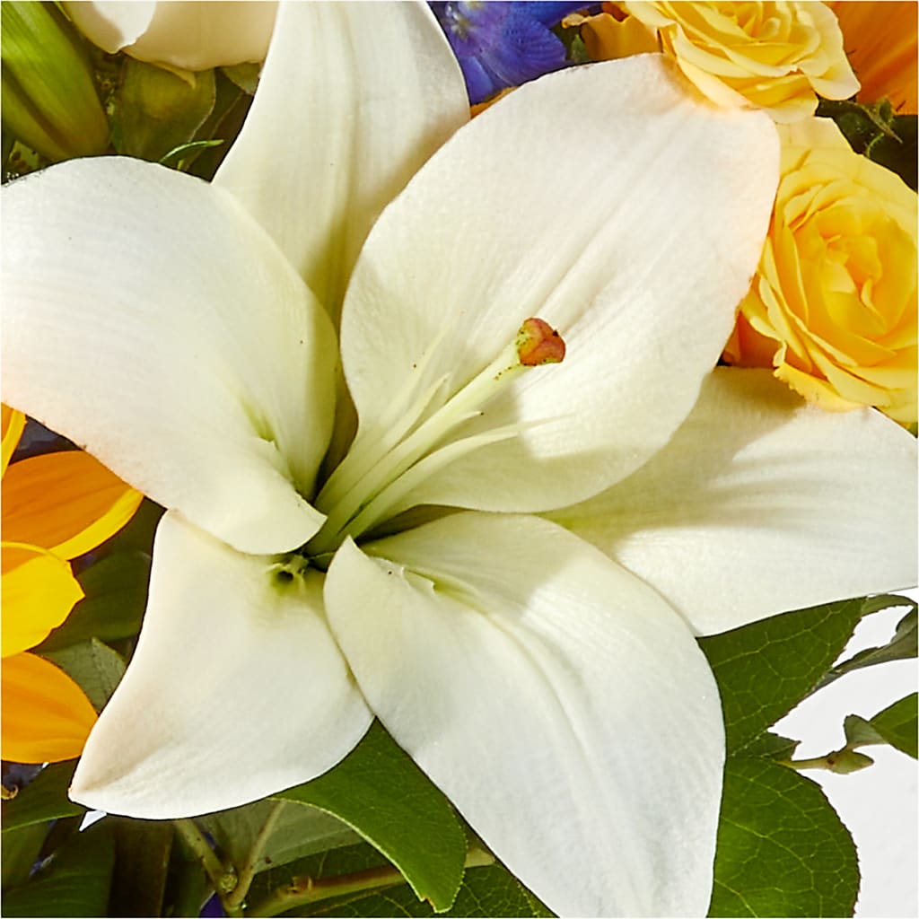 Wonderfully Sunny Bouquet –  Flowerorder.com, Tontitown AR