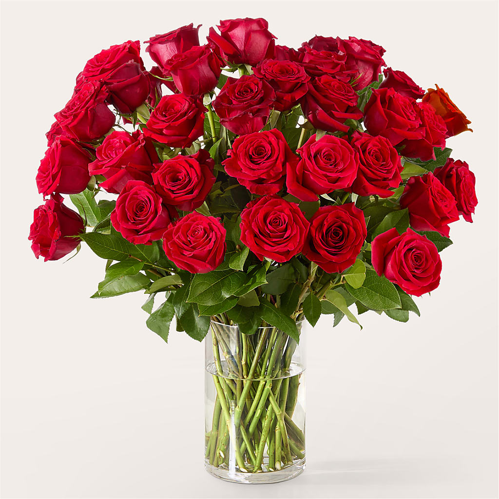 The One Red Rose Bouquet –  Flowerorder.com, Tontitown AR