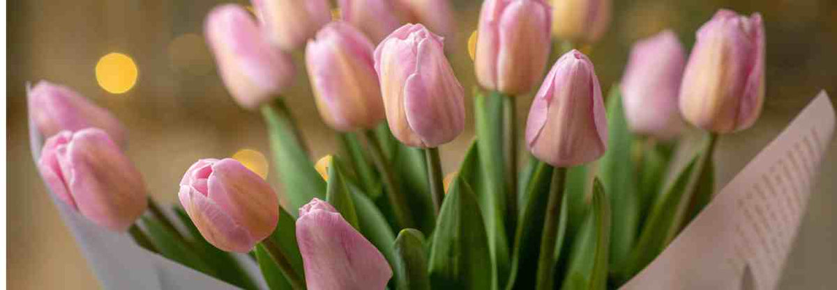 flowerOrdersNet_Image_1771356416987.jpeg